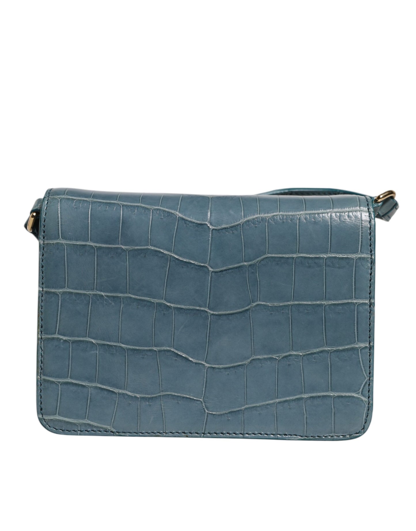 Mini sac bandoulière en cuir exotique vert DG Plaque