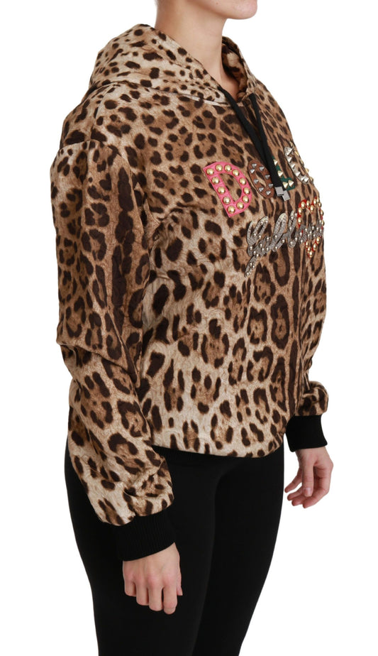 Suéter marrón con capucha y tachuelas de leopardo de Ayers