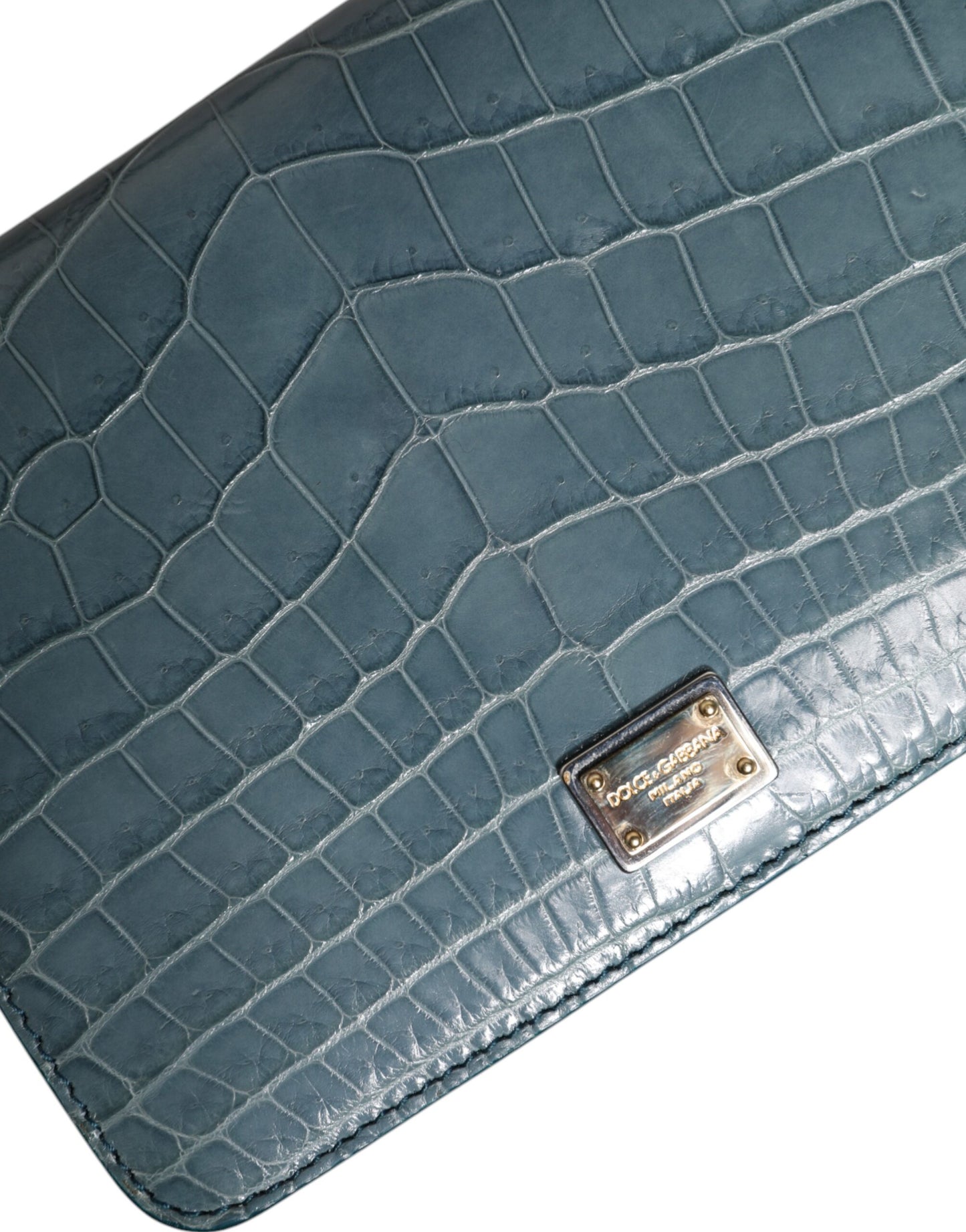 Mini sac bandoulière en cuir exotique vert DG Plaque