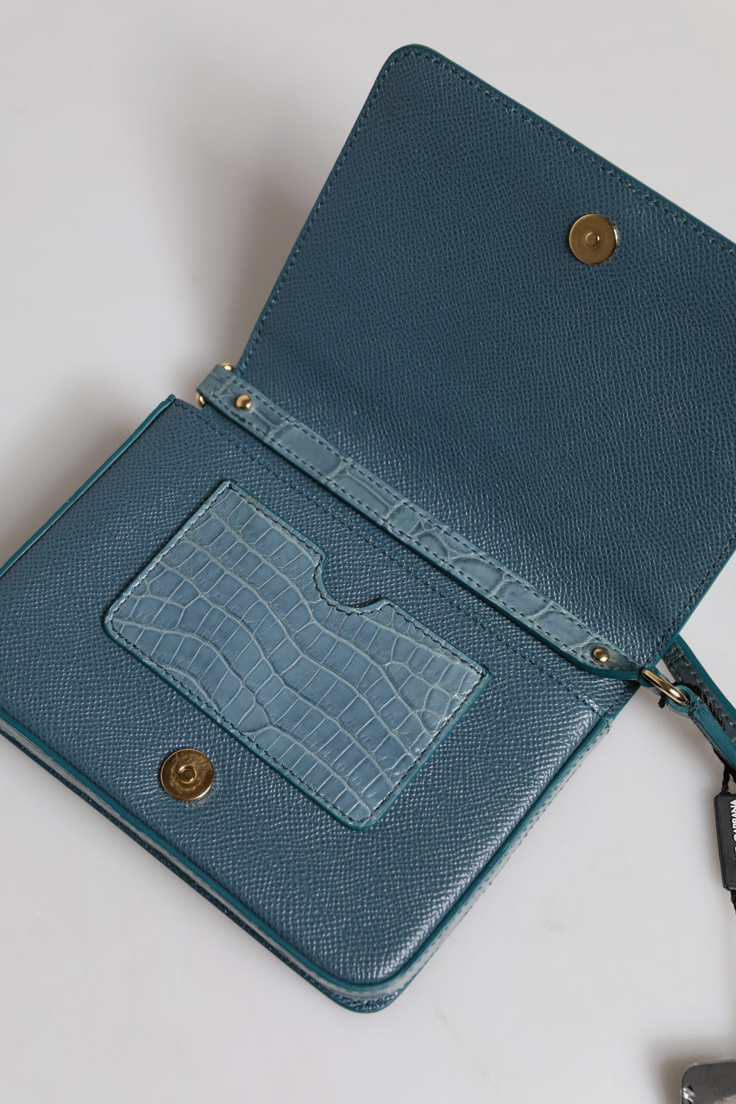 Mini sac bandoulière en cuir exotique vert DG Plaque